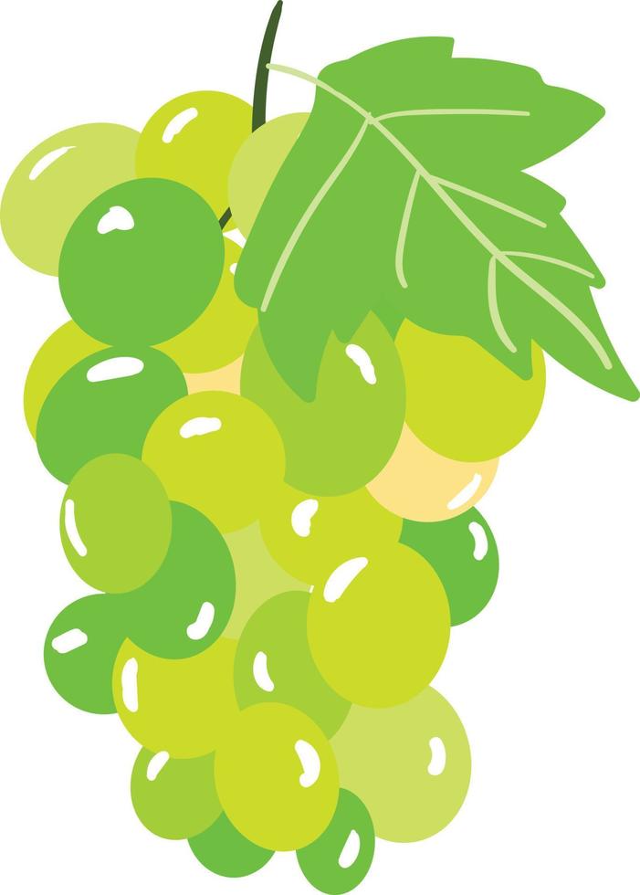 verde dolce gustoso fresco uva vettore