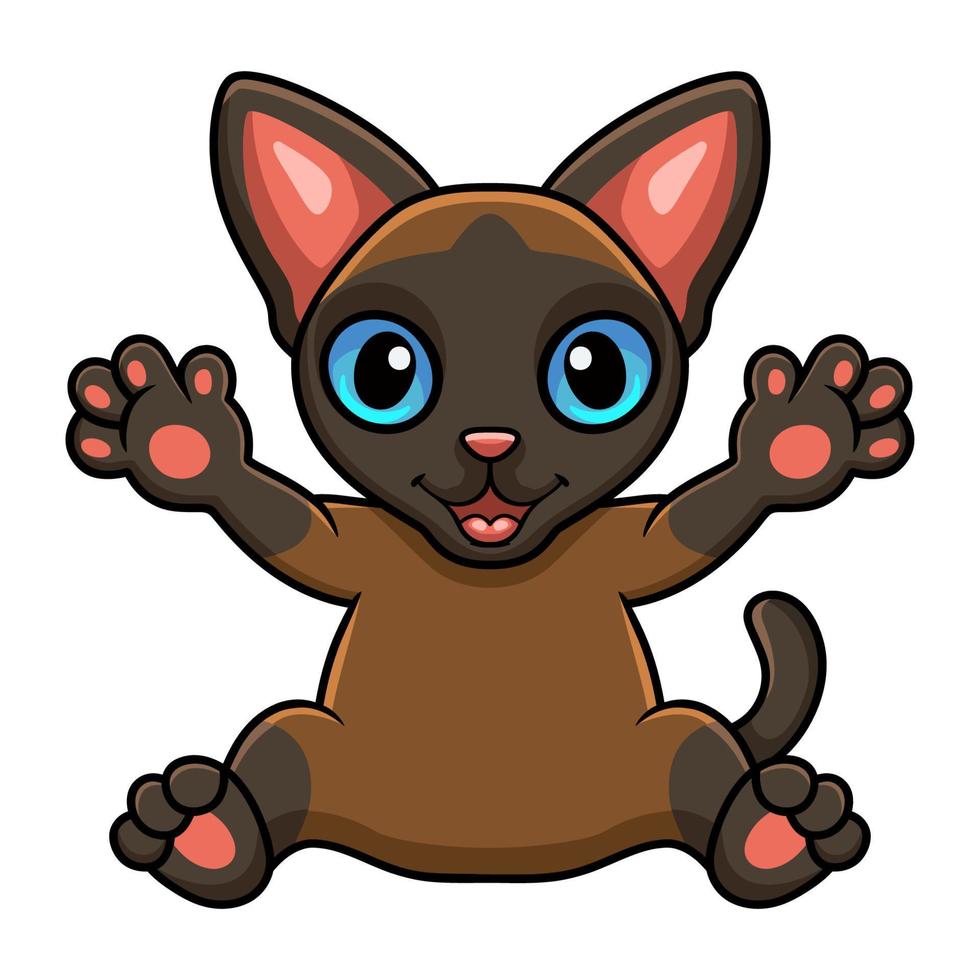 carino tonkinese gatto cartone animato raccolta mani vettore