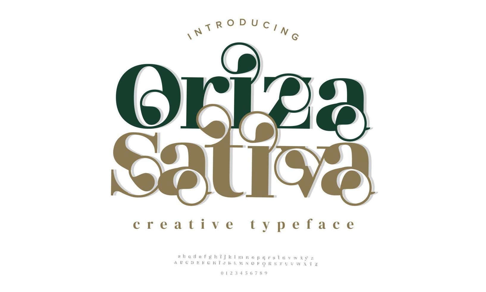 oriz sativa lusso elegante alfabeto lettere e numeri. elegante nozze tipografia classico serif font decorativo Vintage ▾ retrò. vettore