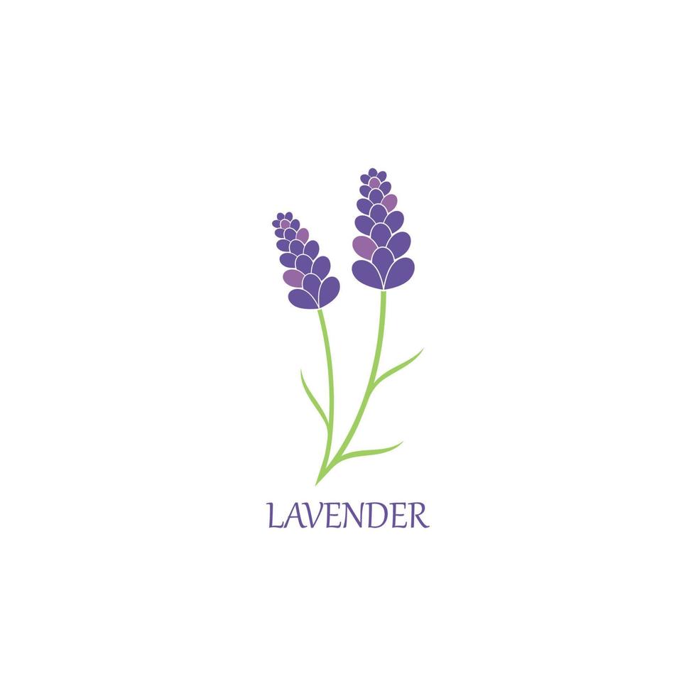 lavanda floreale aromatico logo vettore icona illustrazione