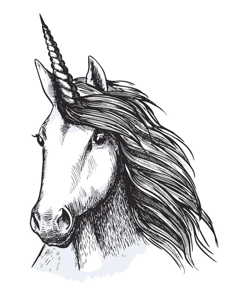 unicorno cavallo testa schizzo per tatuaggio design vettore