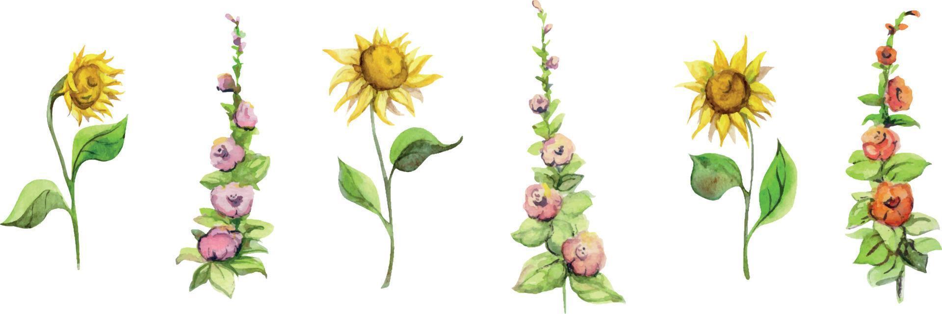 acquerello mano disegnato impostato di girasoli e malva malva fiori, isolato su bianca sfondo. design elementi per carte, regalo borse, inviti, tessile, Stampa, sfondo, per bambini vettore