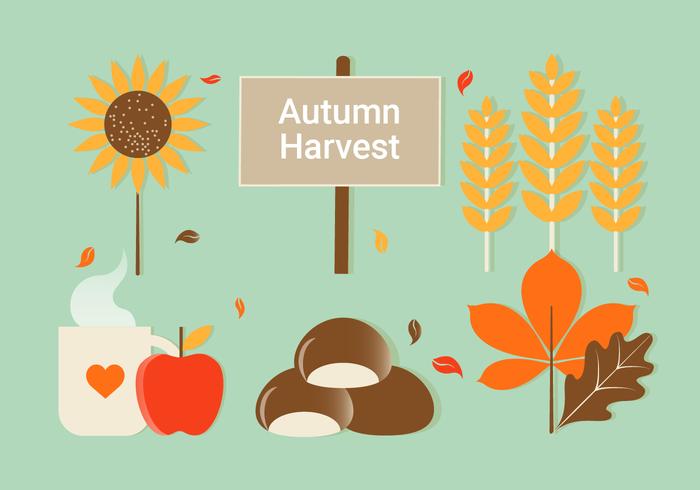 Illustrazione di elementi di autunno di vettore di design piatto gratuito