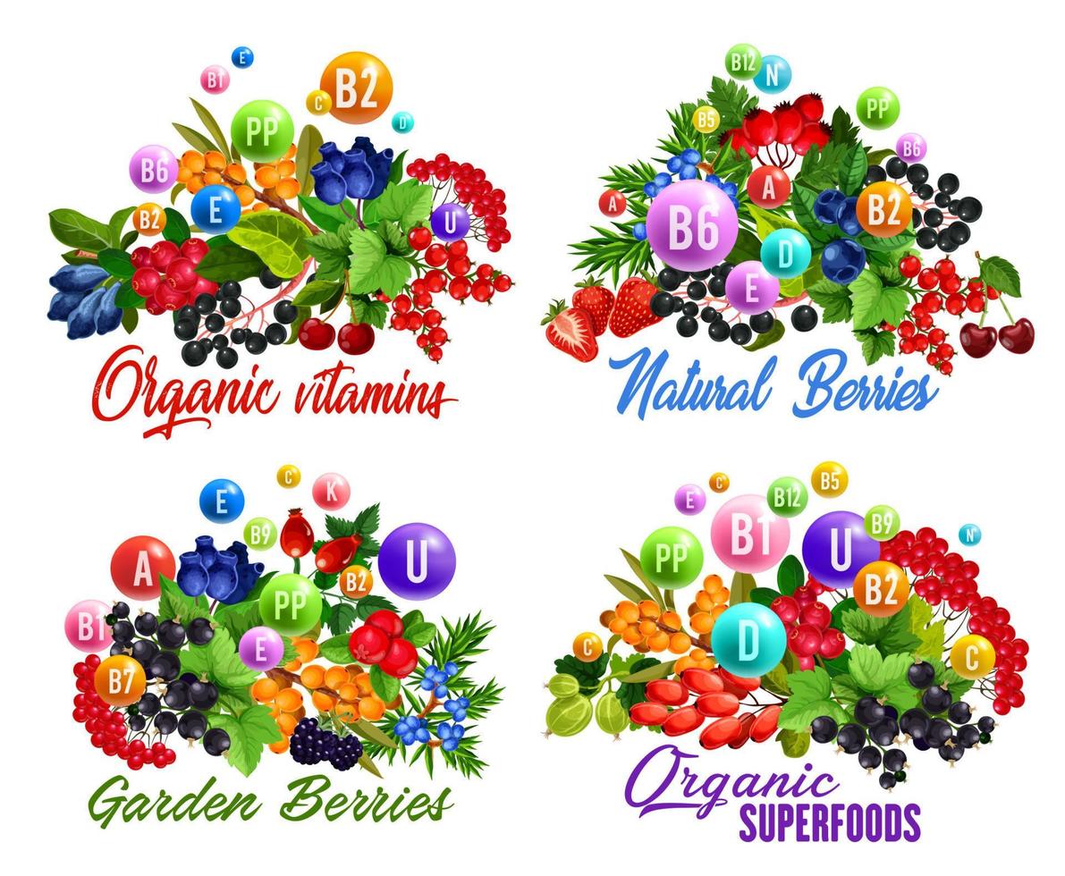 vitamine e Salute benefici di frutti di bosco e frutta vettore