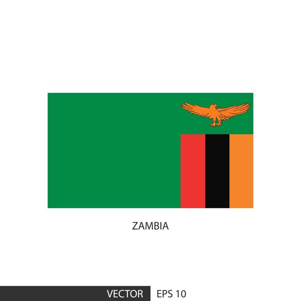 Zambia piazza bandiera su bianca sfondo e specificare è vettore eps10.