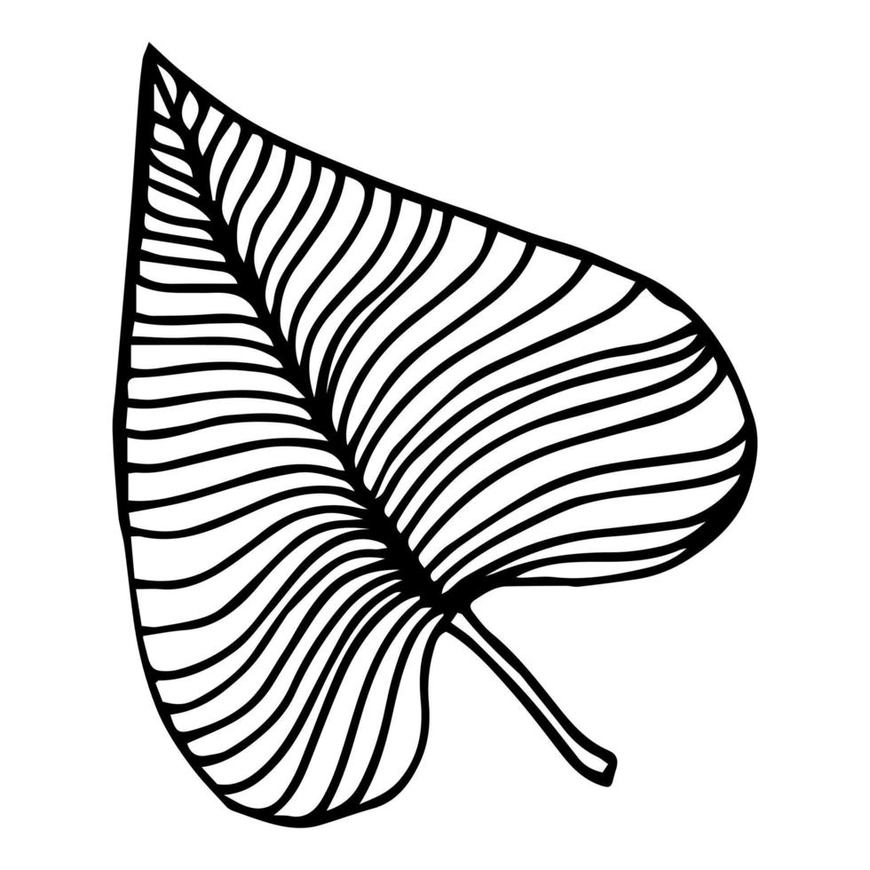 congedo di palma tropicale in stile schizzo, illustrazione vettoriale isolata. congedo di palma in stile doodle lineare. stampa botanica minimalista di congedo esotico, disegno di schizzo.