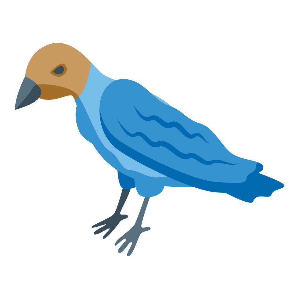 Canada uccello icona isometrico vettore. natura animale vettore