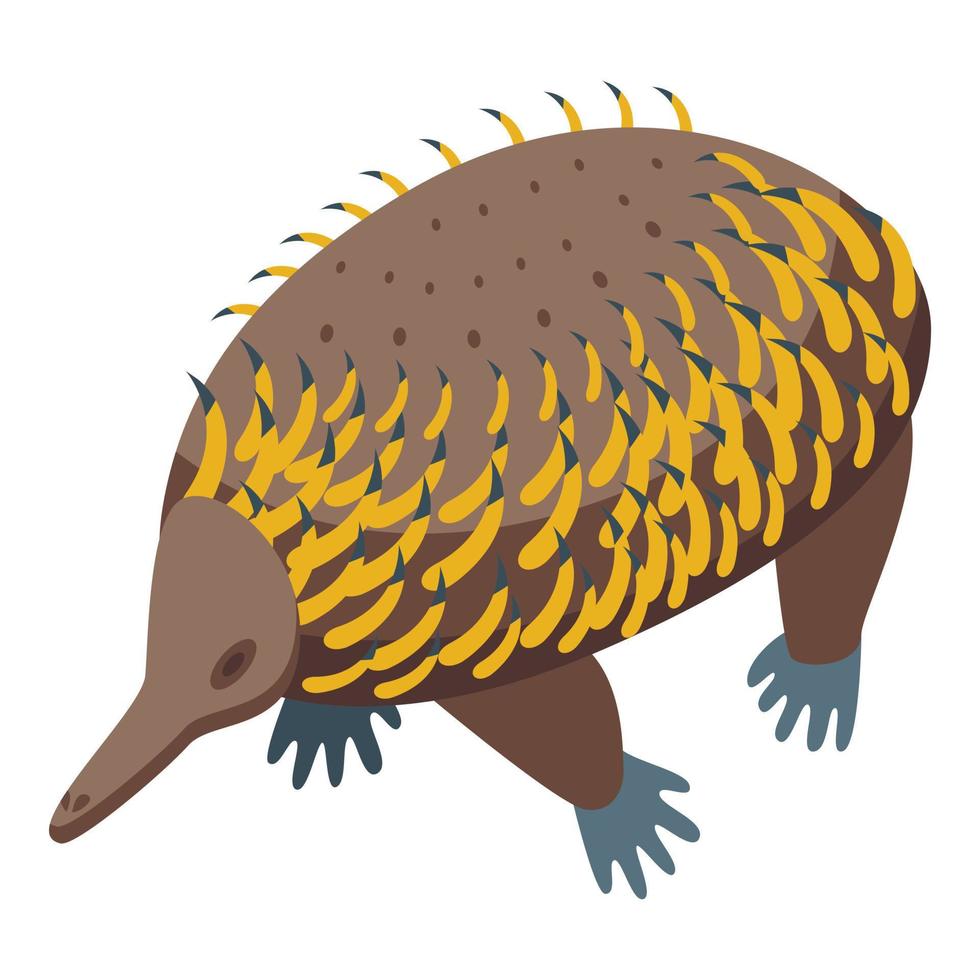 selvaggio echidna icona isometrico vettore. natura animale vettore