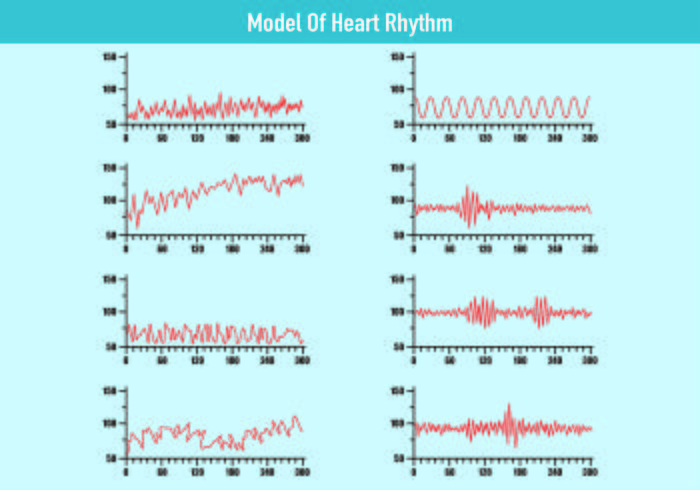 Modello dei vettori del ritmo cardiaco