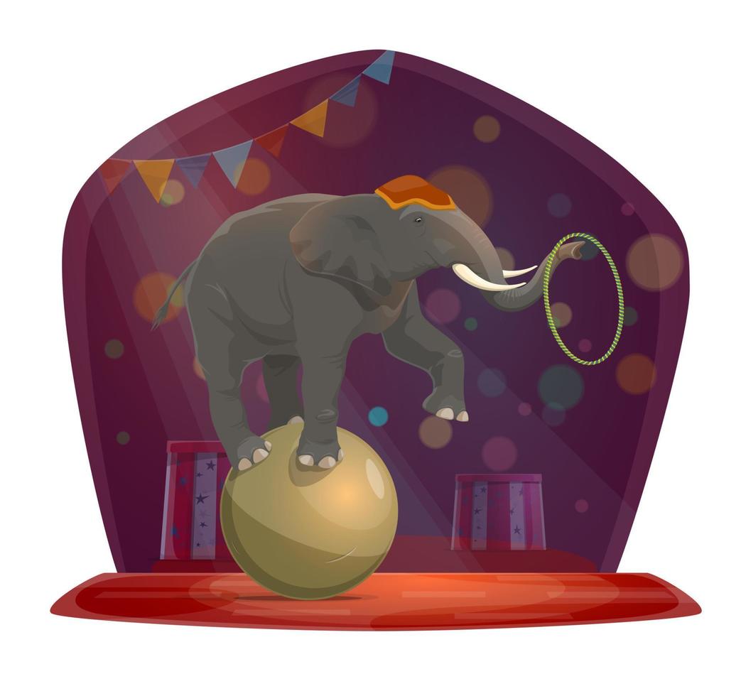 circo, elefante su sfera, chapiteau mostrare vettore