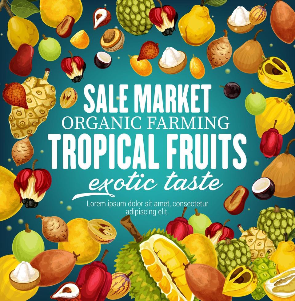 tropicale vettore frutta, esotico cibo