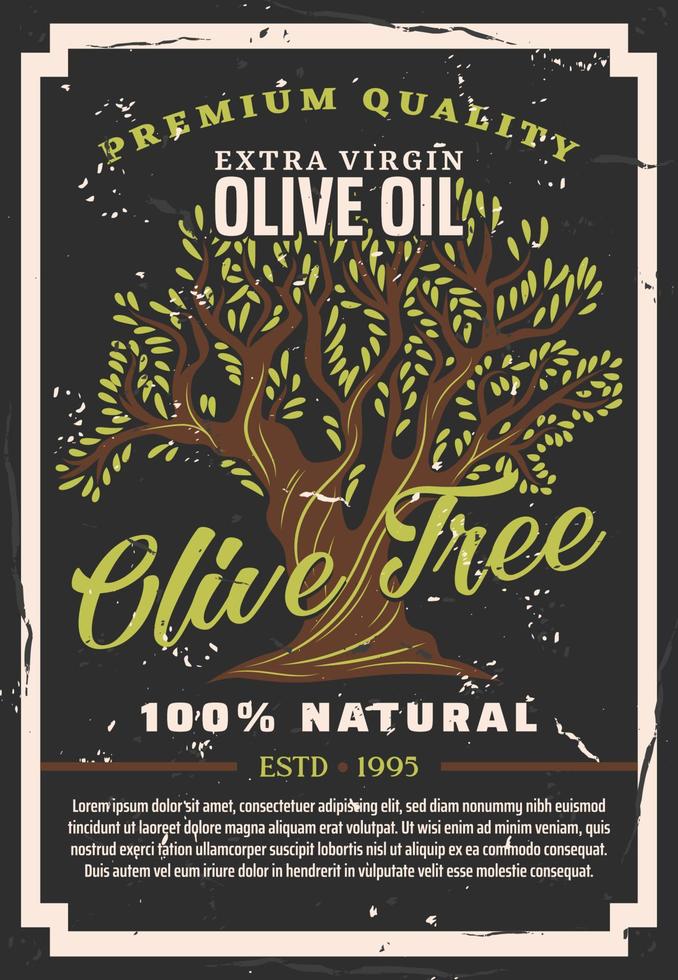 naturale oliva cucinando olio, oliva albero vettore