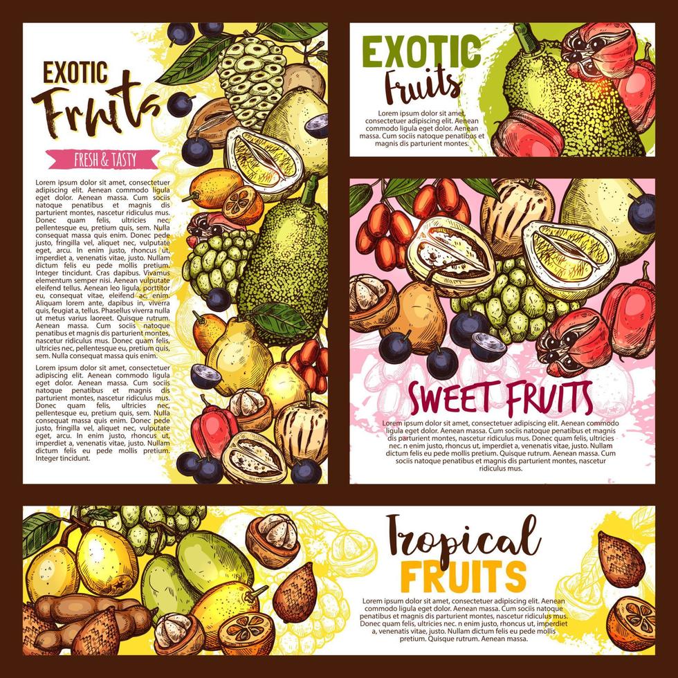 esotico tropicale frutta, vettore schizzo