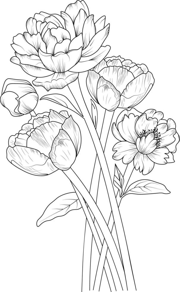 peonia fiore schizzo arte. nero schema disegno è Perfetto per colorazione pagine o libri per bambini o adulti, semplicità, abbellimento, mazzi di fiori di flora. vettore