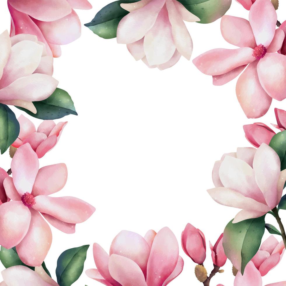 mano disegnato acquerello telaio di rosa magnolia fiori, isolato illustrazione su un' bianca sfondo vettore