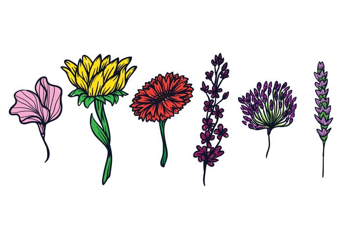 Set di illustrazioni di fiori vettore