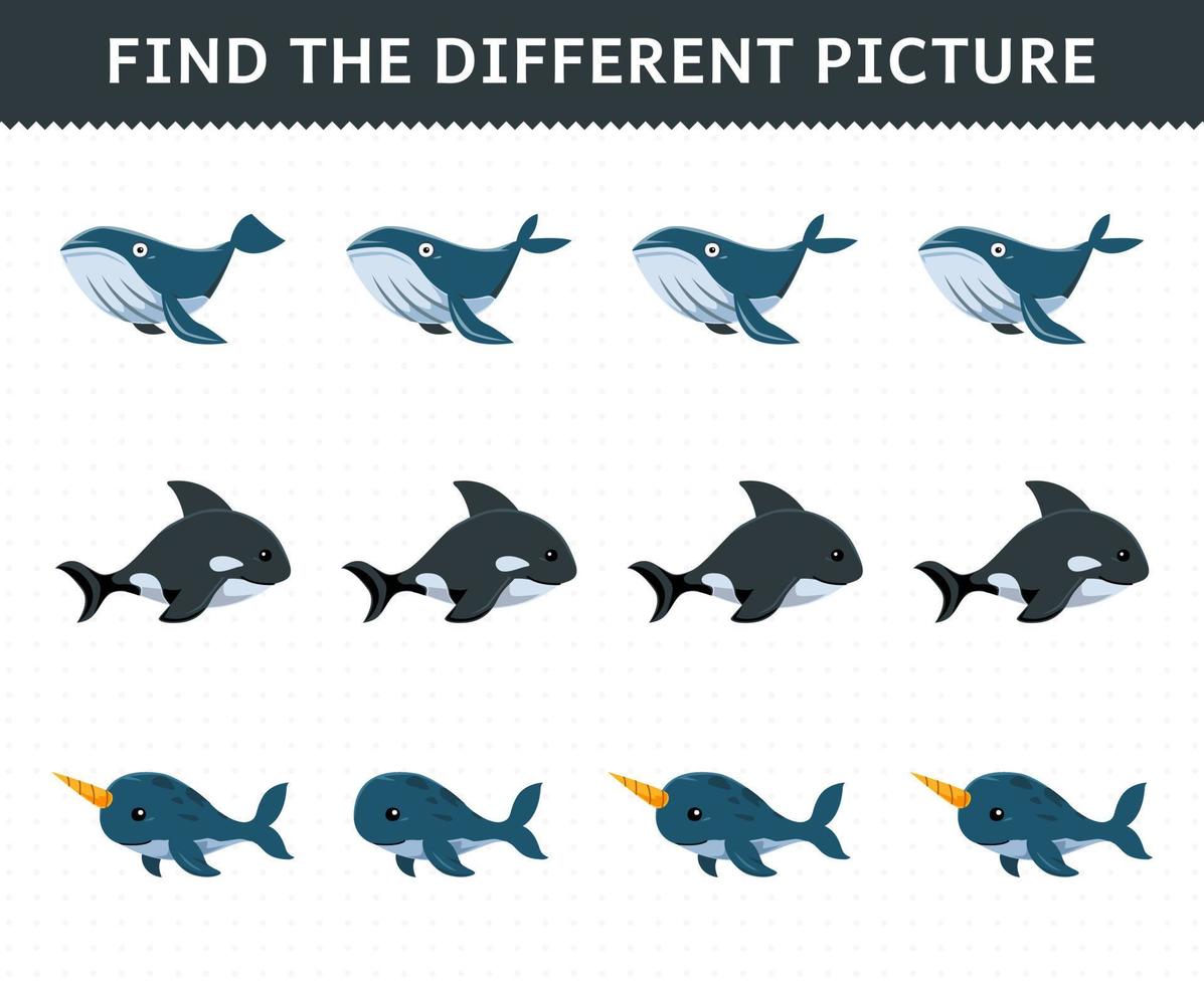 formazione scolastica gioco per bambini trova il diverso immagine nel ogni riga di carino cartone animato balena orca narvalo stampabile subacqueo foglio di lavoro vettore
