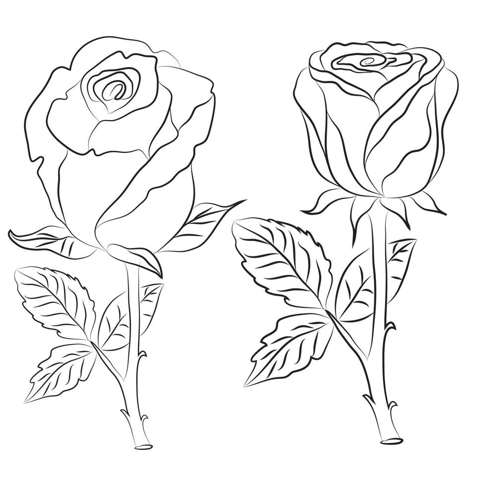 mano disegnato rosa linea disegno immagini illustrazione collectio vettore