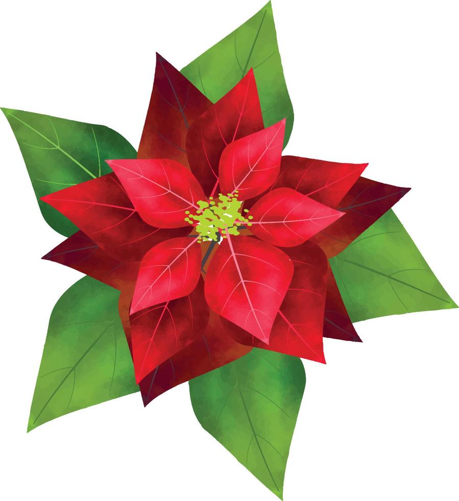 allegro Natale poinsettia fiore, può essere Usato Questo grafico per qualunque genere di merce. esso è Perfetto per qualunque progetto confezione, Stazionario, tazze, borse, cuscini, magliette, eccetera. qualunque cosa voi volere vettore