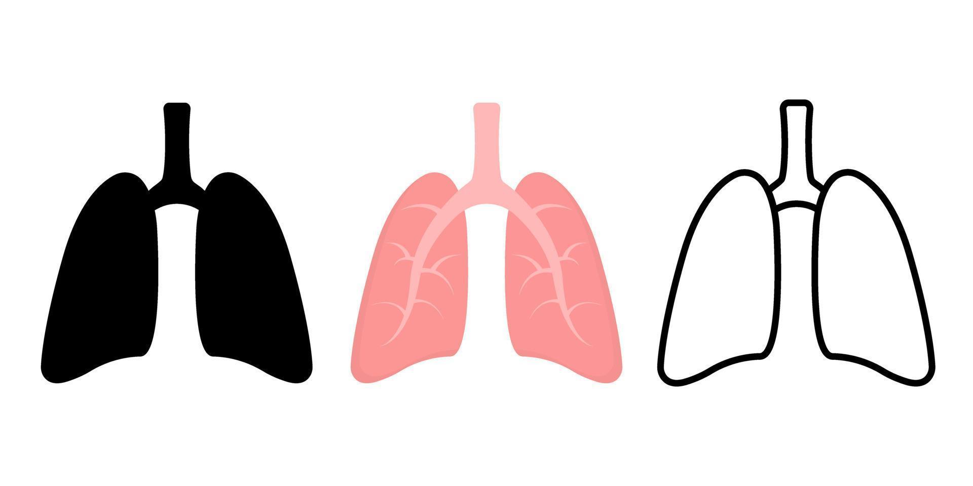realistico polmone anatomia. polmone icona impostare. respiratorio sistema salutare polmone piatto medico organo. isolato vettore illustrazione.