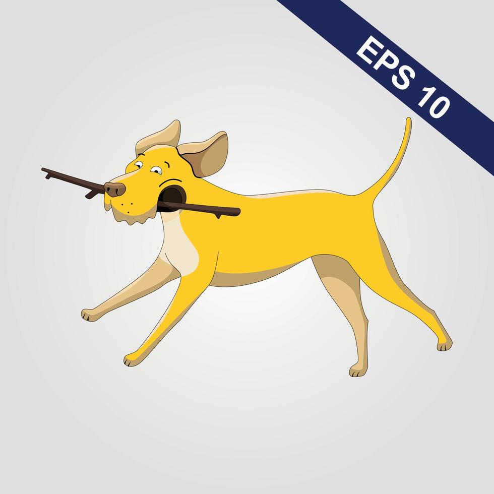 labrador cane da riporto in esecuzione con prendere di legno bastone nel bocca colorato vettore illustrazione