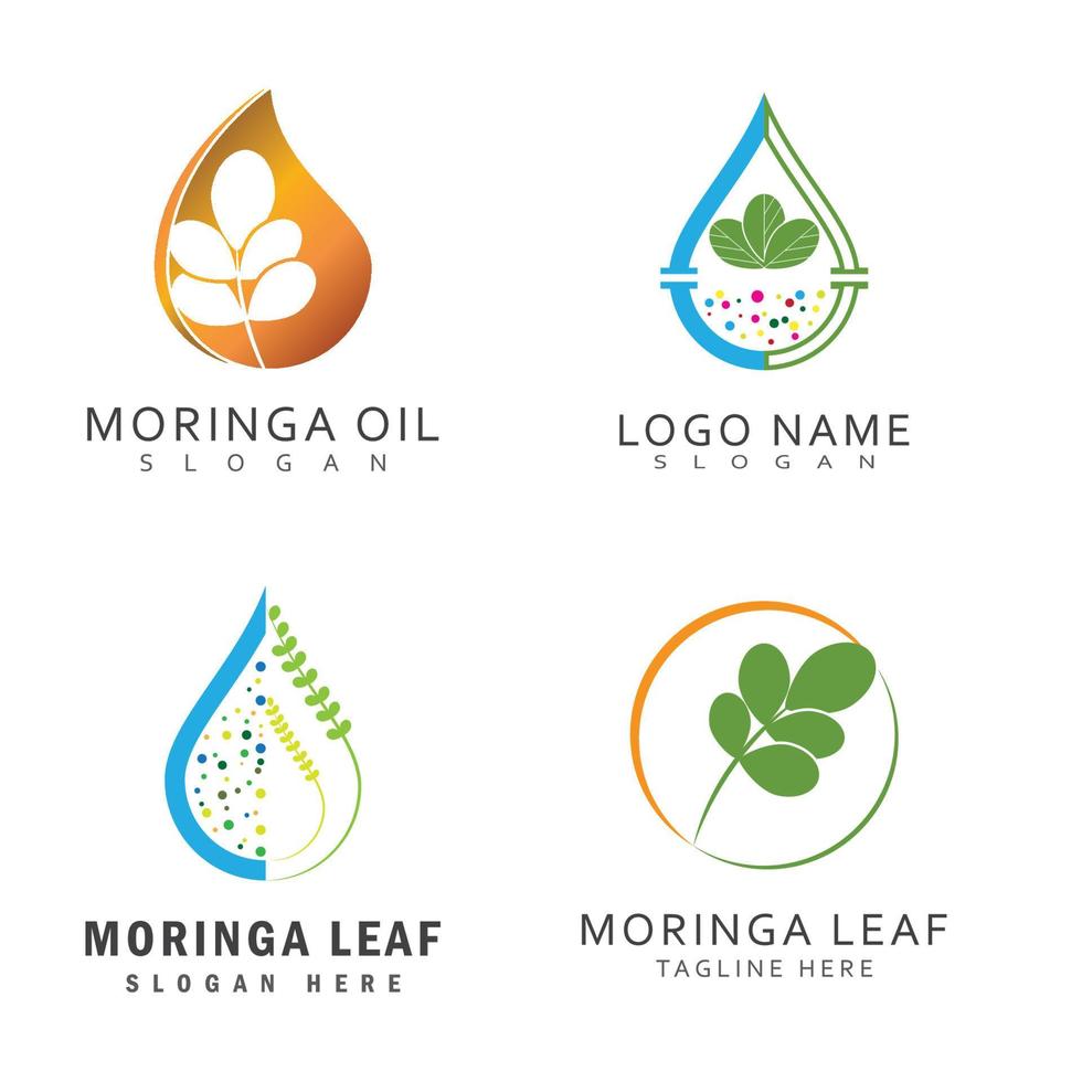 modello di logo foglia di moringa simbolo di vettore natura