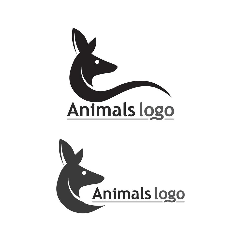 canguro animale logo e design vettore illustrtion