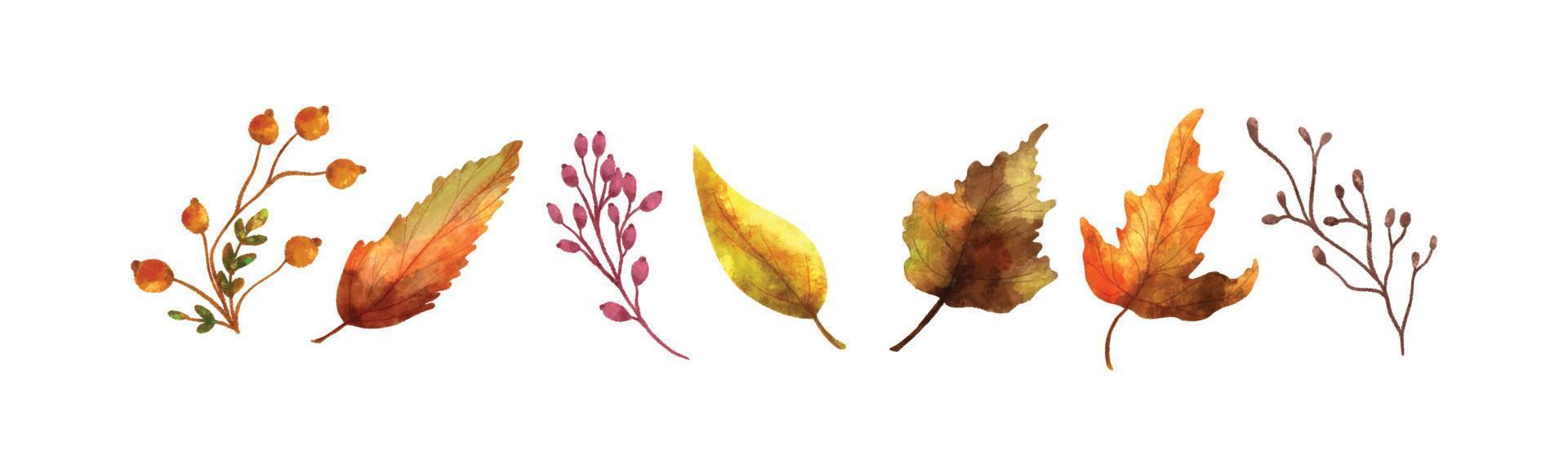 acquerello realistico autunno le foglie collezione 05 vettore