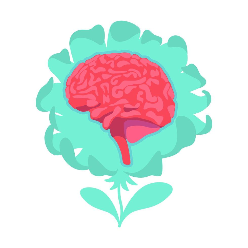 fiore del cervello anatomico vettore