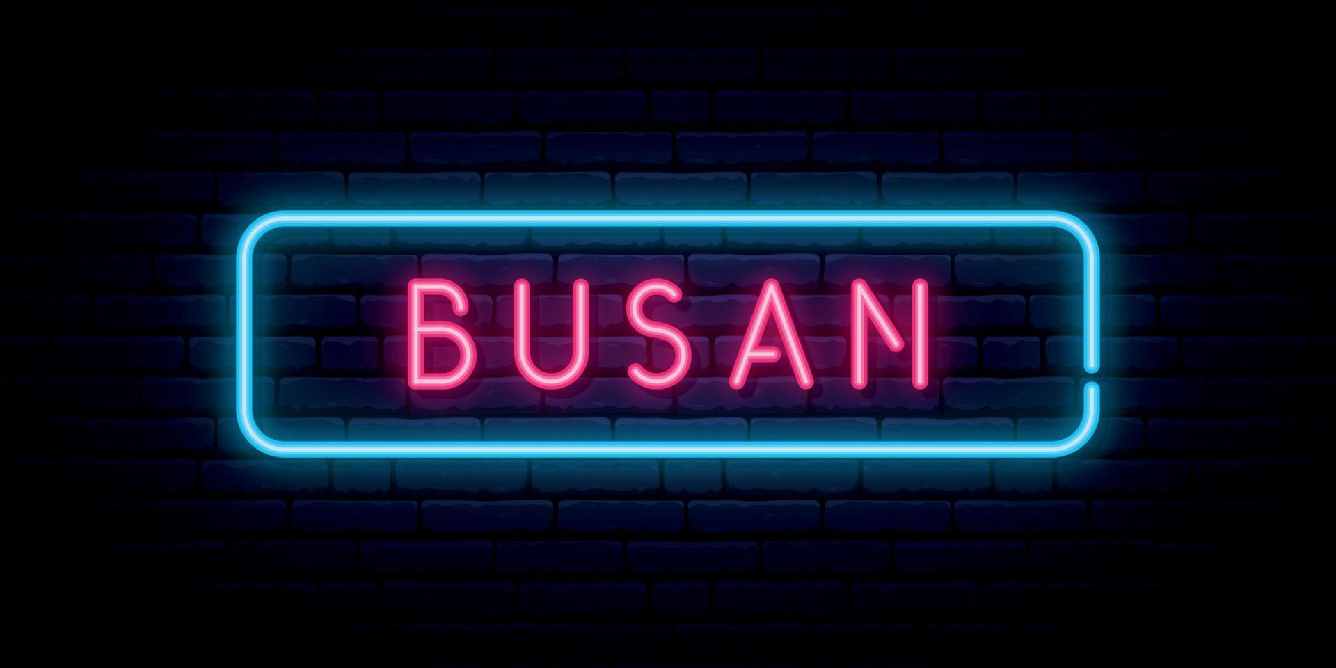 busan neon cartello. luminosa leggero cartello. vettore striscione.