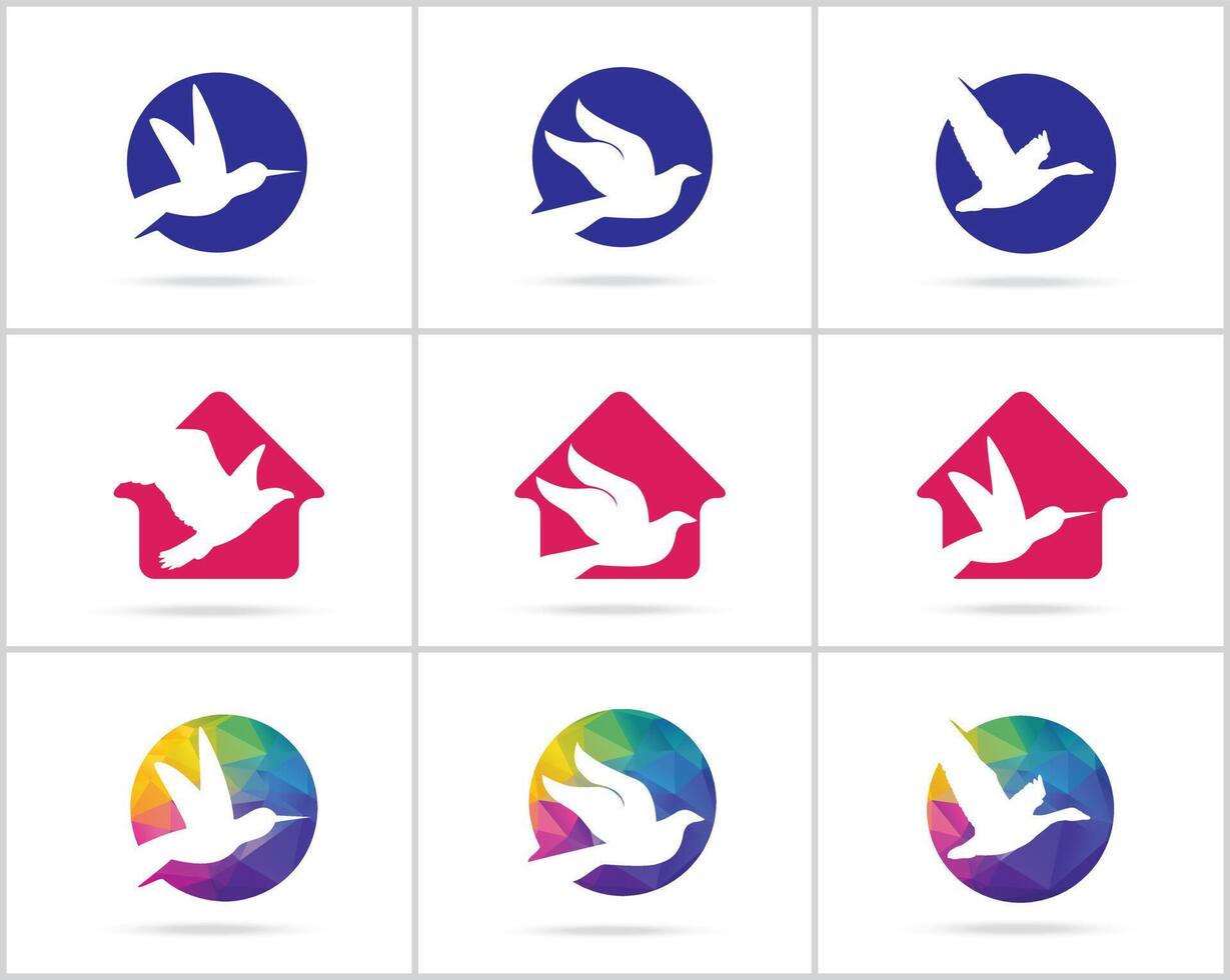 uccello logo vettore design collezione.