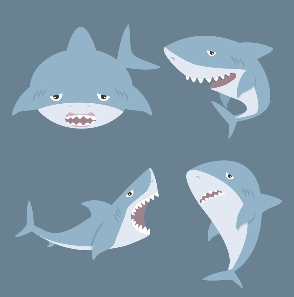 simpatico cartone animato squalo set vettore