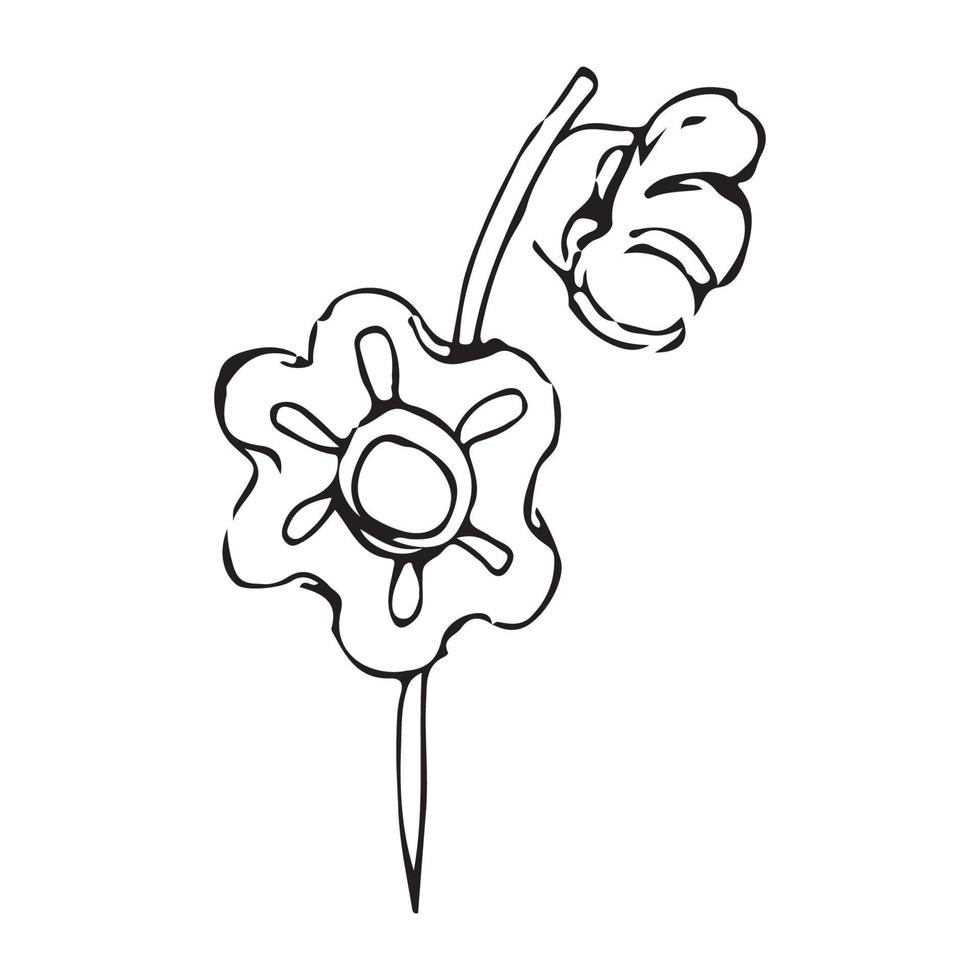 mano disegnato fiori per decorazione. linea arte mano disegnato fiori nel Vintage ▾ stile vettore