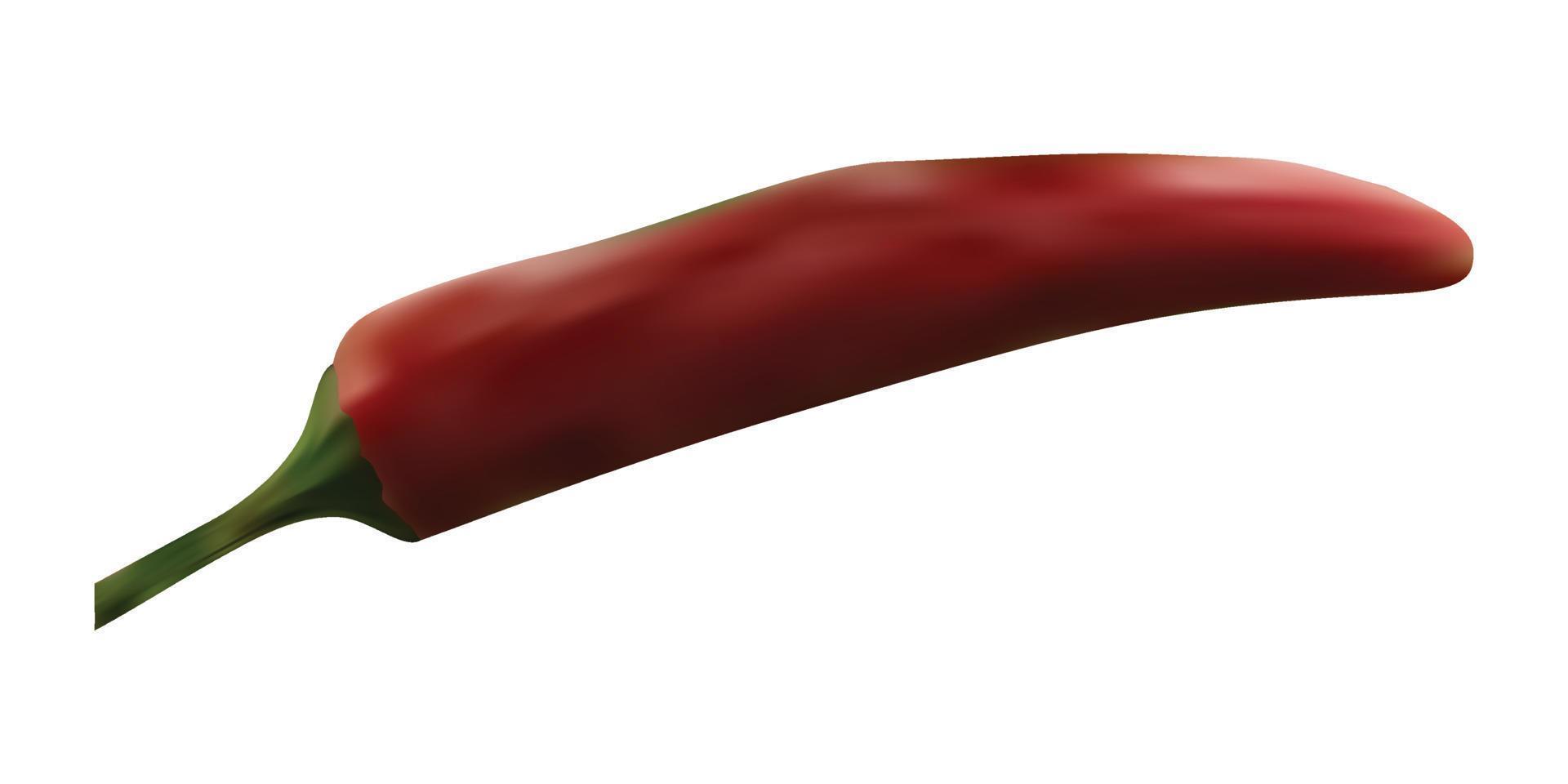 realistico vettore rosso peperoncino Pepe isolato su bianca sfondo.