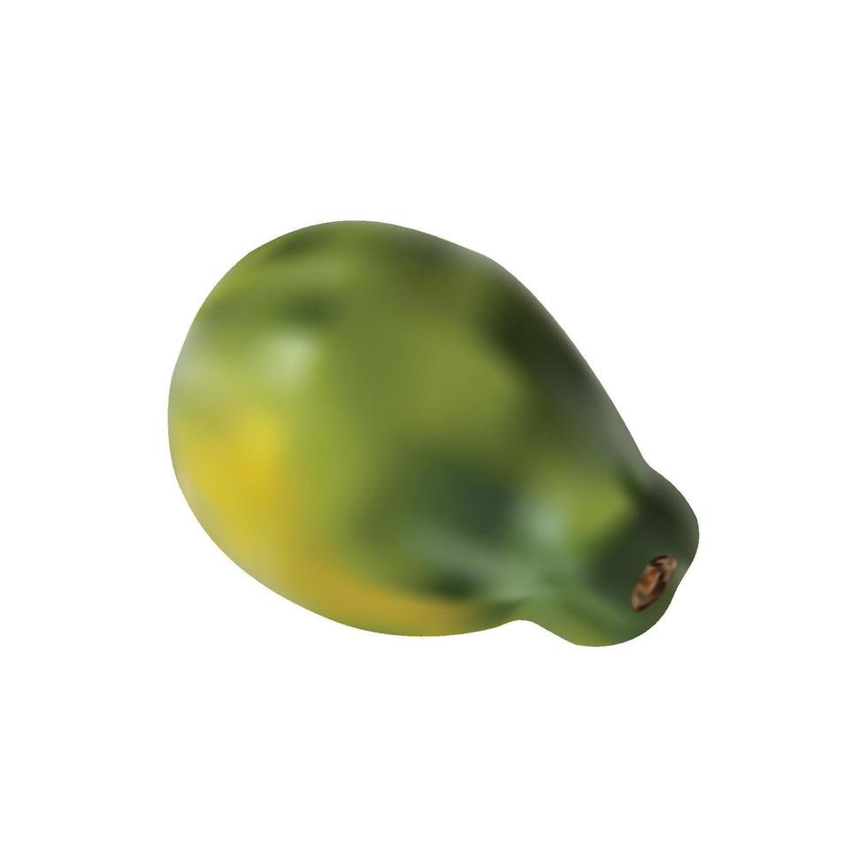 realistico verde papaia. pieno modificabile, isolato su bianca. vettore