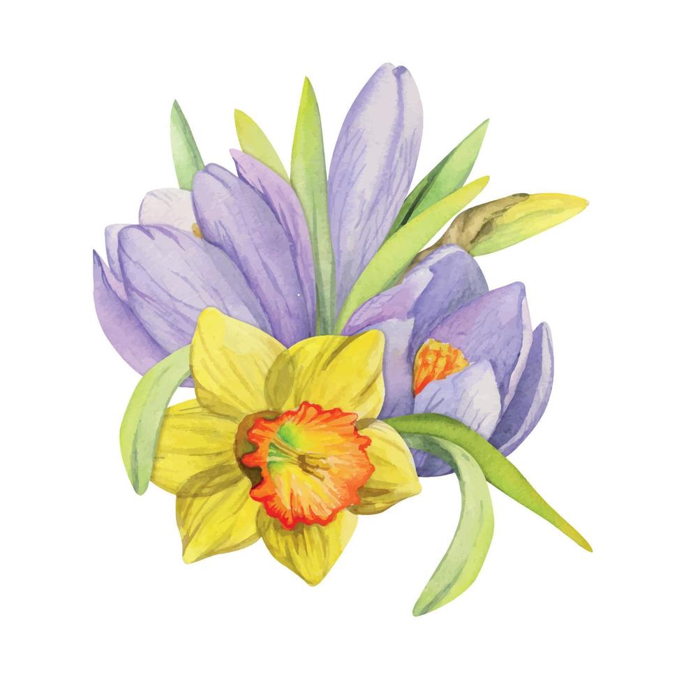 acquerello mano disegnato composizione con primavera fiori, croco, bucaneve, narcisi, arco, regalo etichetta. isolato su bianca sfondo. per inviti, nozze, saluto carte, sfondo, Stampa, tessile. vettore