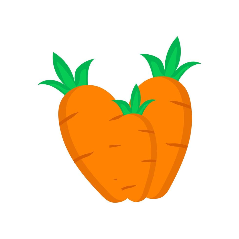 carota modello, vettore illustrazione di carota