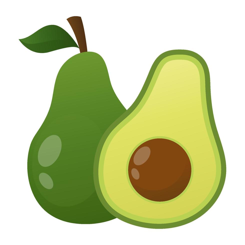 illustrazione vettoriale di avocado