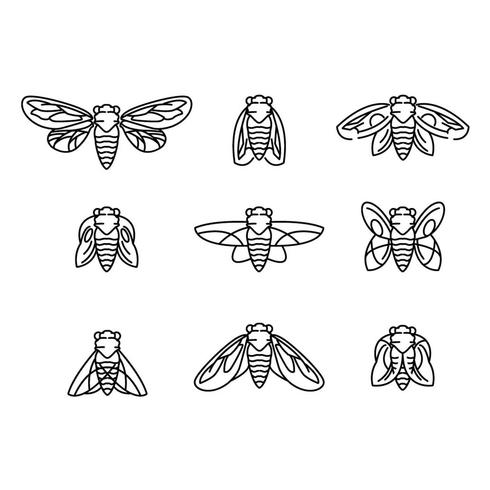 Fly e Cicada Vector Lineart