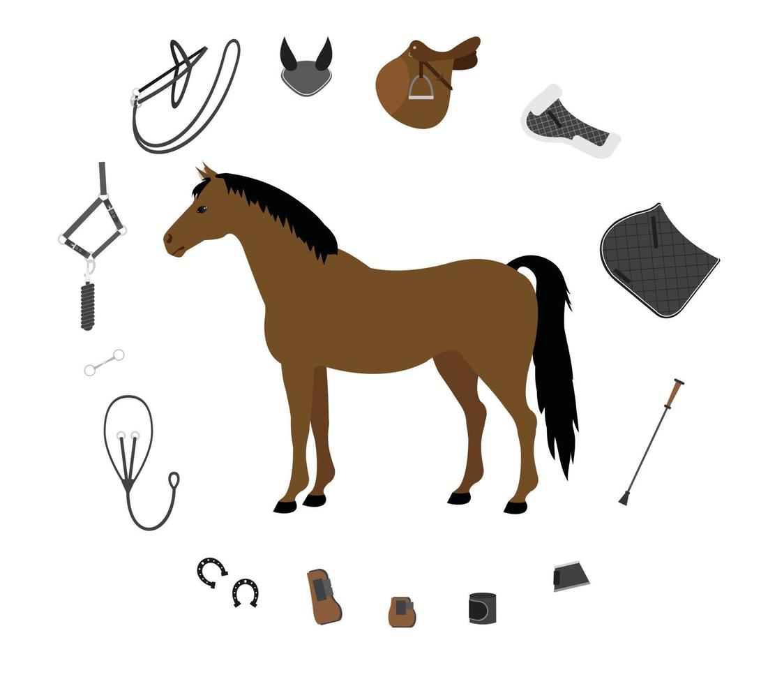 vettore impostato di cavallo equitazione attrezzatura