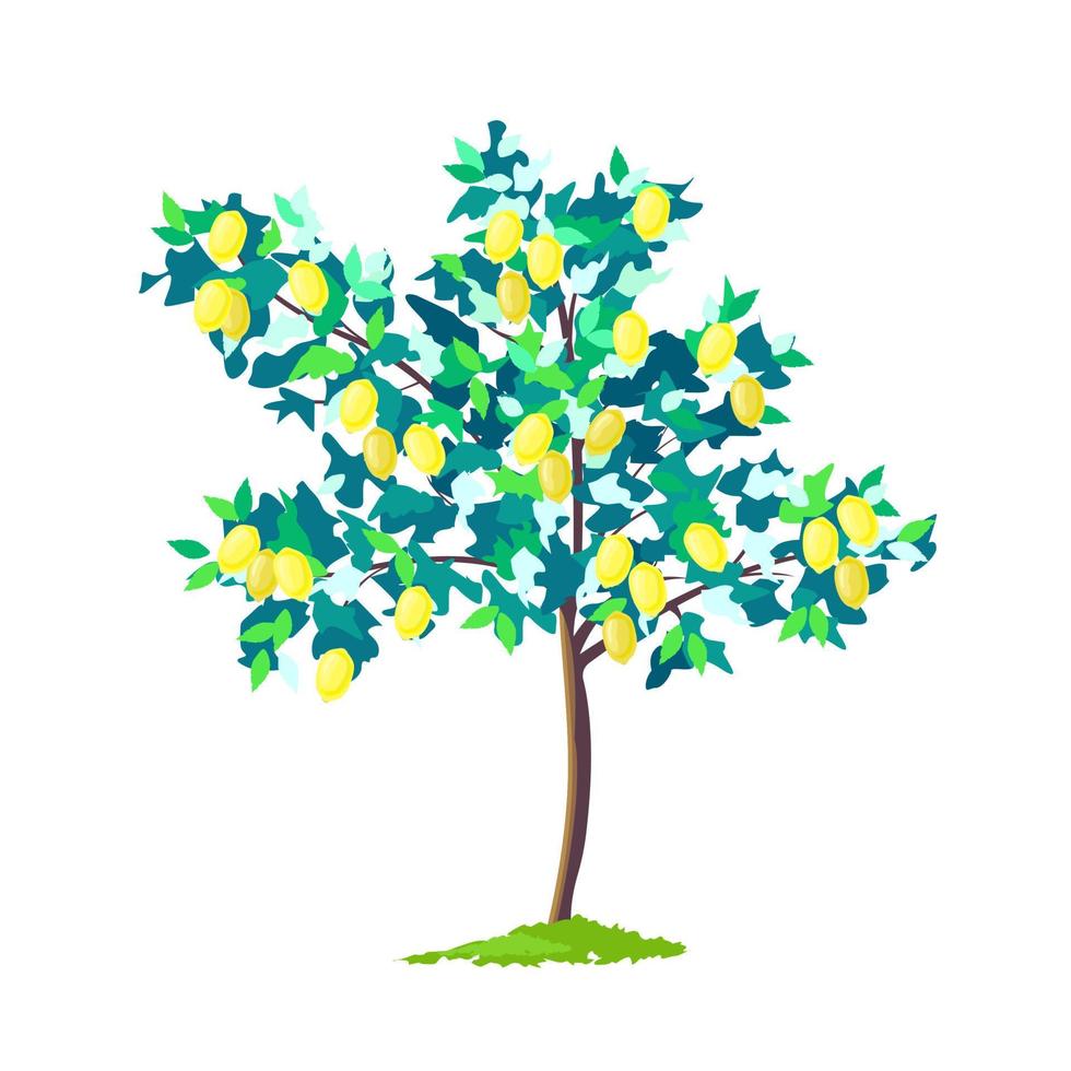 Limone albero astratto illustrazione vettore