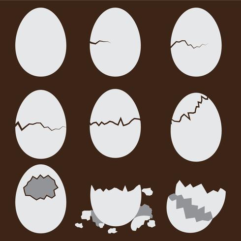 Vettori di uovo rotto
