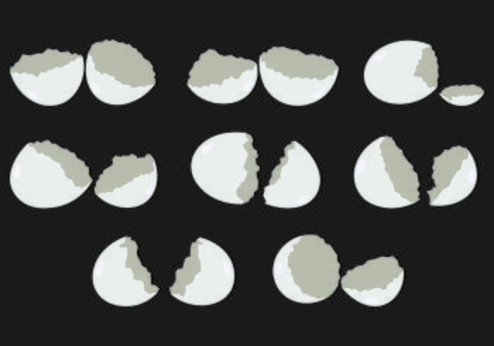 Set di vettore di uovo rotto