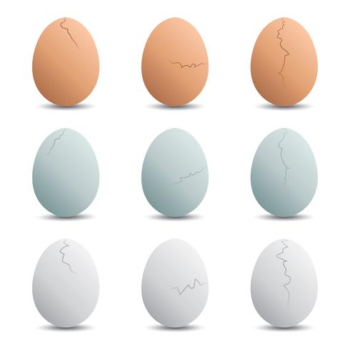 Vettori di uovo incrinato
