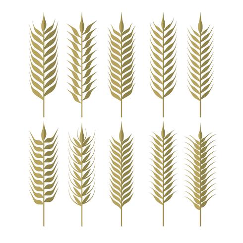 Clipart semplice delle orecchie del grano vettore