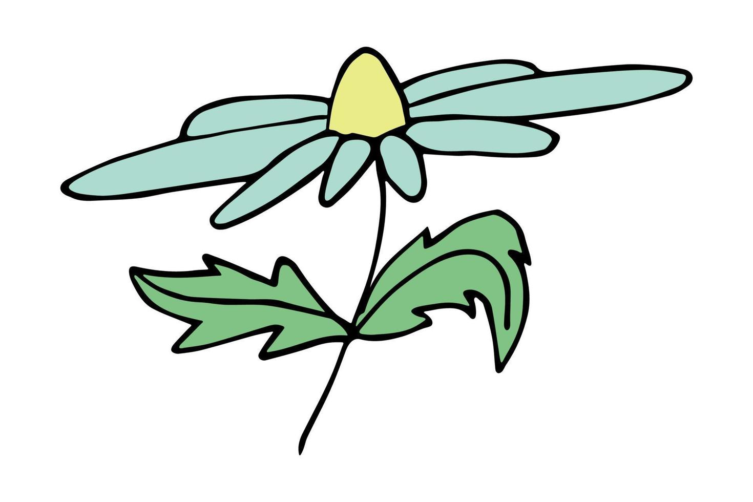 semplice fiore clipart. mano disegnato floreale scarabocchio. per Stampa, ragnatela, disegno, arredamento, logo vettore