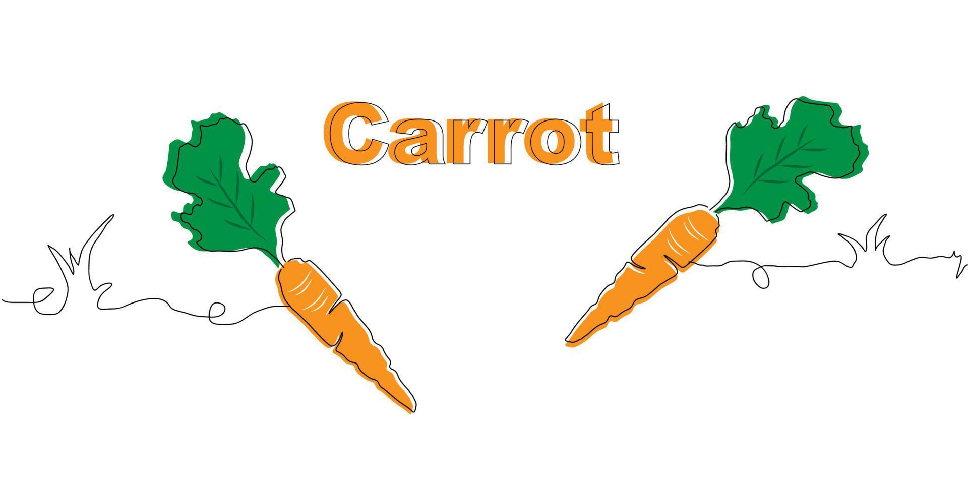 illustrazione di carota vettore