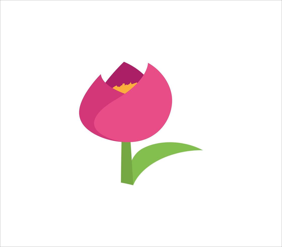tulipano isolato su bianca vettore