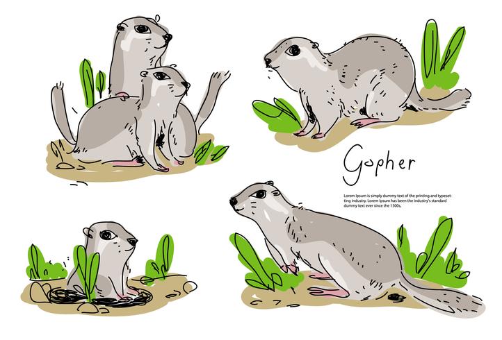 Illustrazione disegnata a mano di vettore di Gopher Pose sveglio