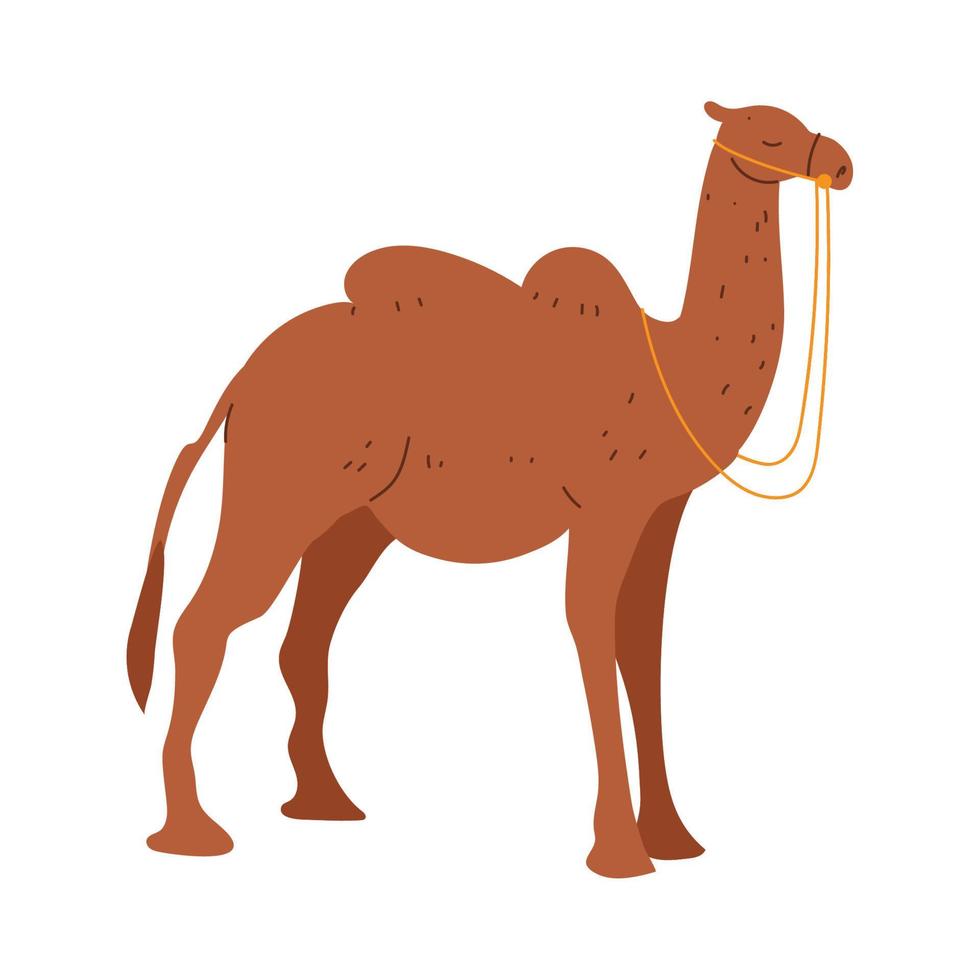 cammello animale icona vettore